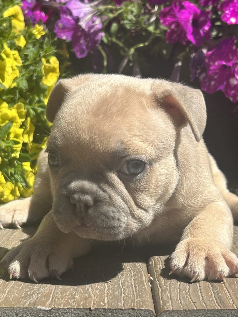 Male 108