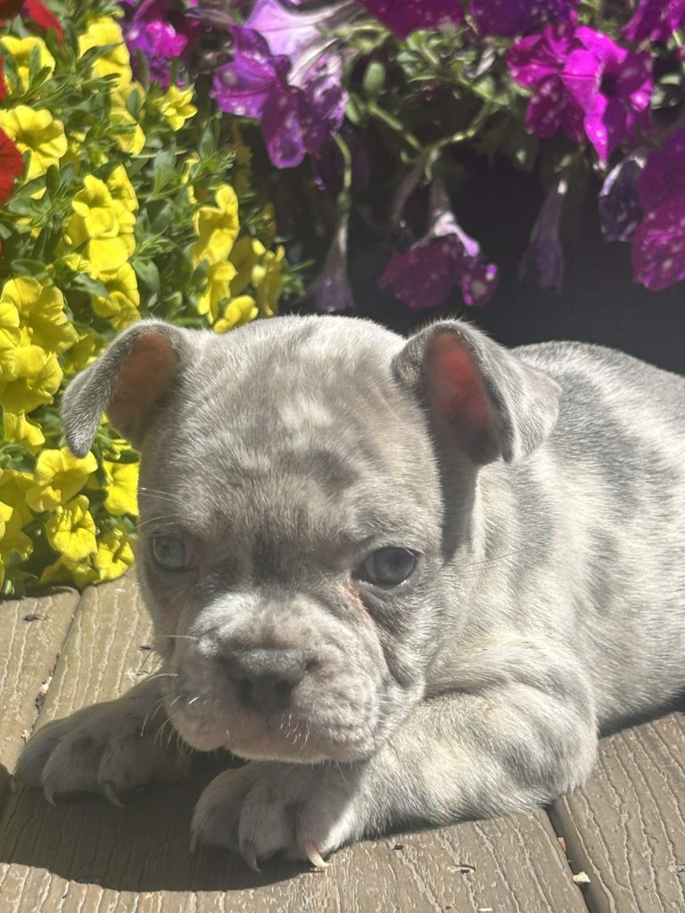Male 111